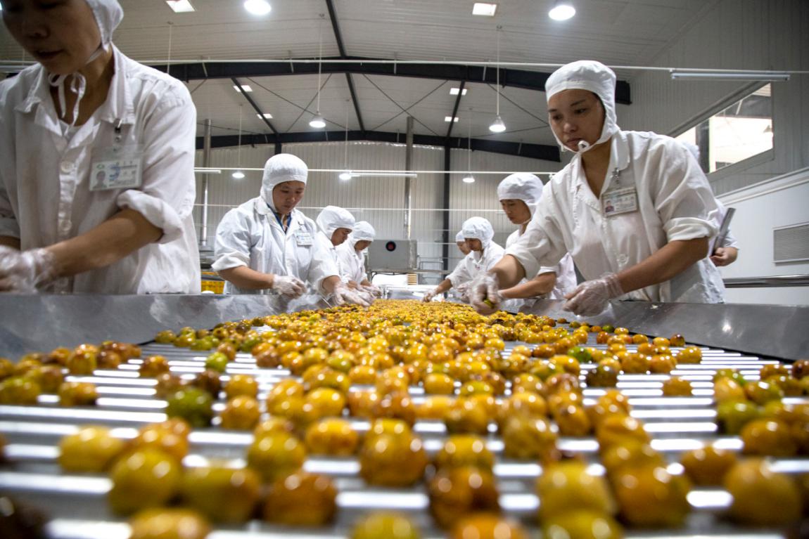 堅守綠色初心，鑄就品質傳奇——揭秘一家企業如何讓產品連續24年通過“綠色食品”認證